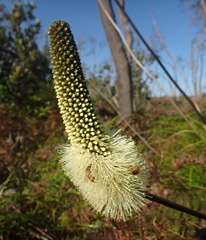PA260259a.jpg